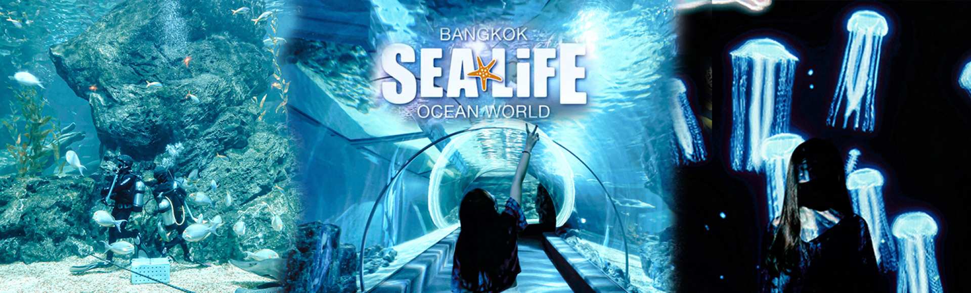 泰國-曼谷暹羅海洋世界和杜莎夫人蠟像館門票| 限時優惠中