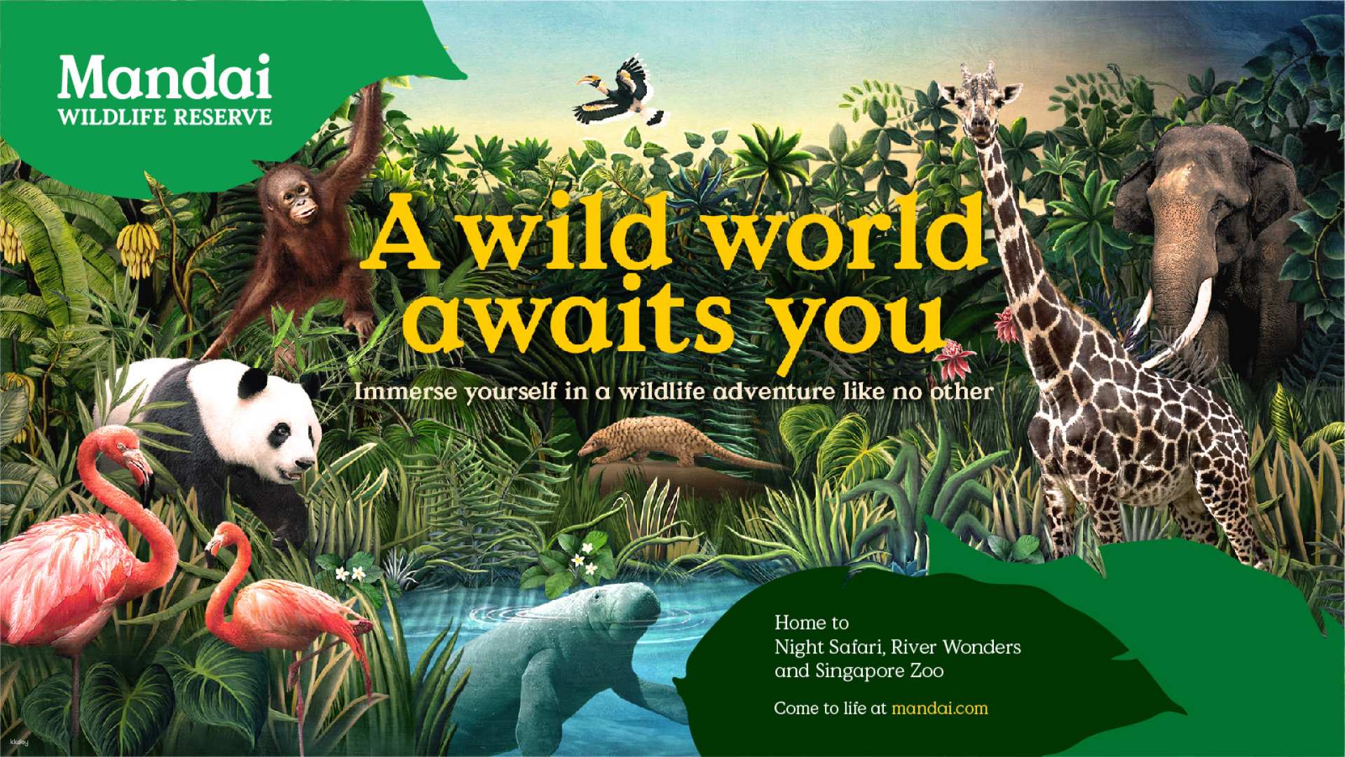 新加坡-萬態野生動物園多園套票| 新加坡動物園&河川生態園&夜間野生動物園及飛禽公園