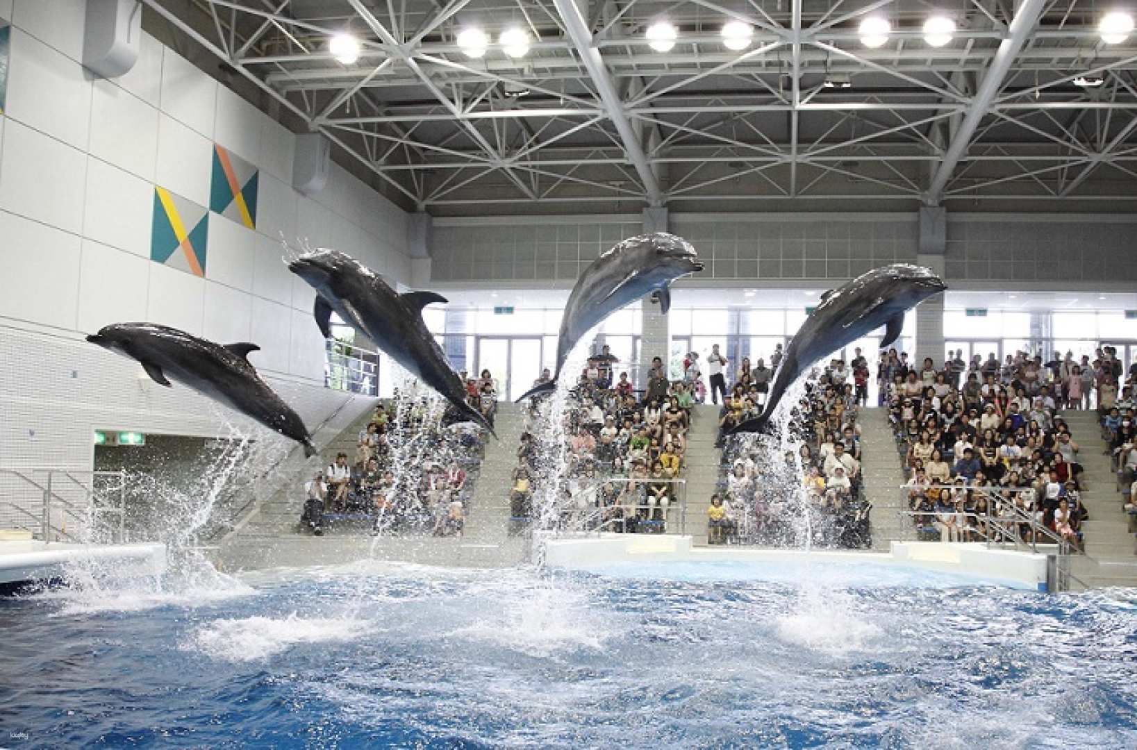 日本-鹿兒島水族館 Kagoshima City Aquarium 門票