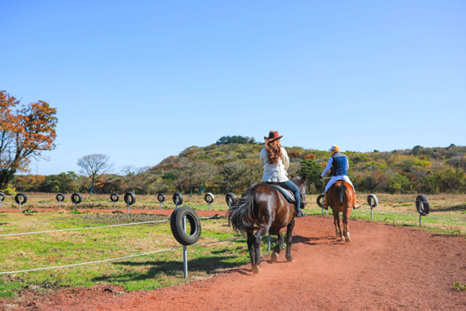 韓國-濟州三多水牧場騎馬體驗