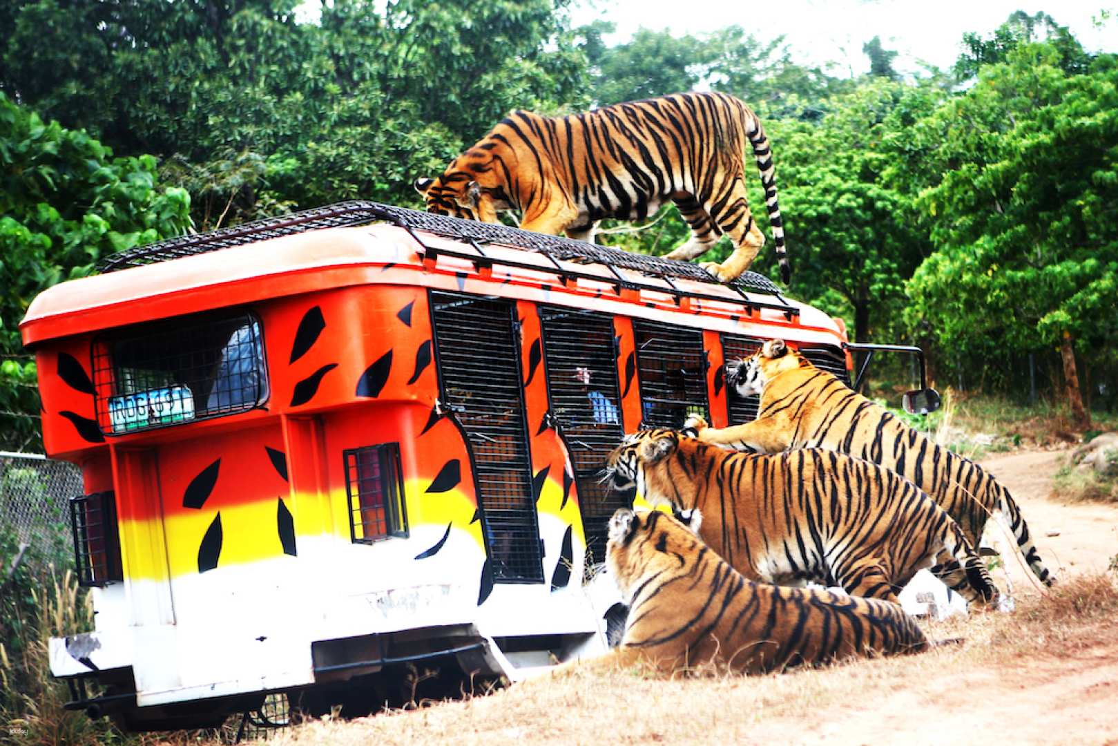 菲律賓-蘇比克動物園野生動物園門票