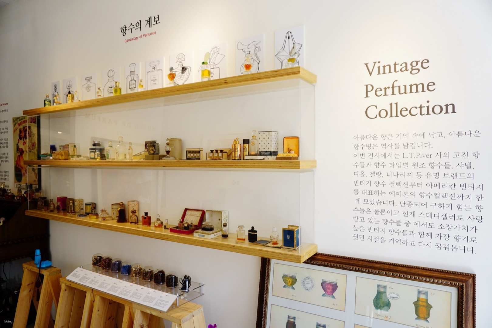韓國-GN perfume studio| 自製香水DIY 體驗