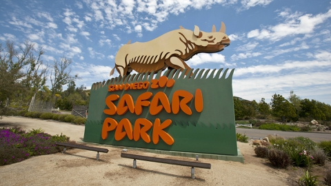 美國-加州聖地牙哥野生動物園門票