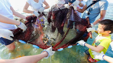 澎湖-石斑豐魚季 潮間帶導覽&鮮魚料理