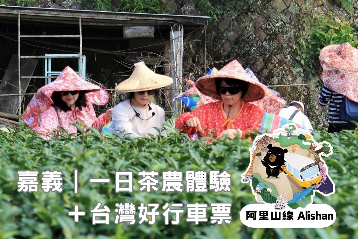 嘉義-一日茶農體驗&台灣好行阿里山線來回車票
