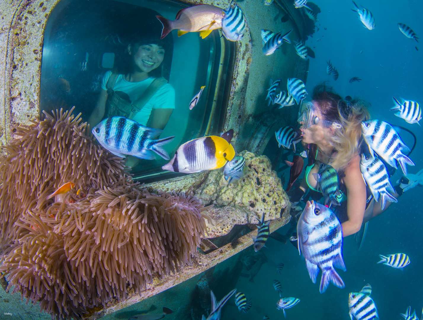 關島-魚眼海洋公園| 海底瞭望塔導覽及椰子文化秀體驗