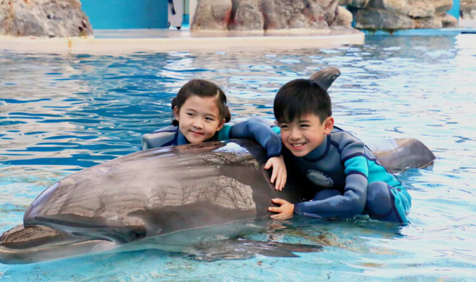 花蓮-遠雄海洋公園| 親親海豚/海獅體驗| 含入園門票