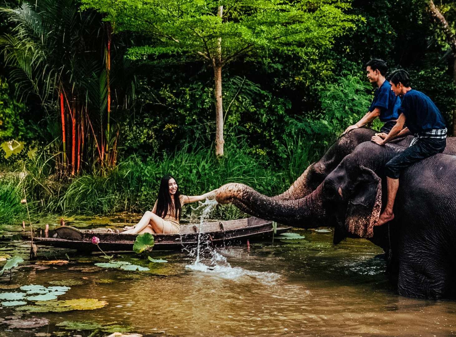泰國-芭達雅 Mong Chang Cafe 大象健行和沐浴體驗