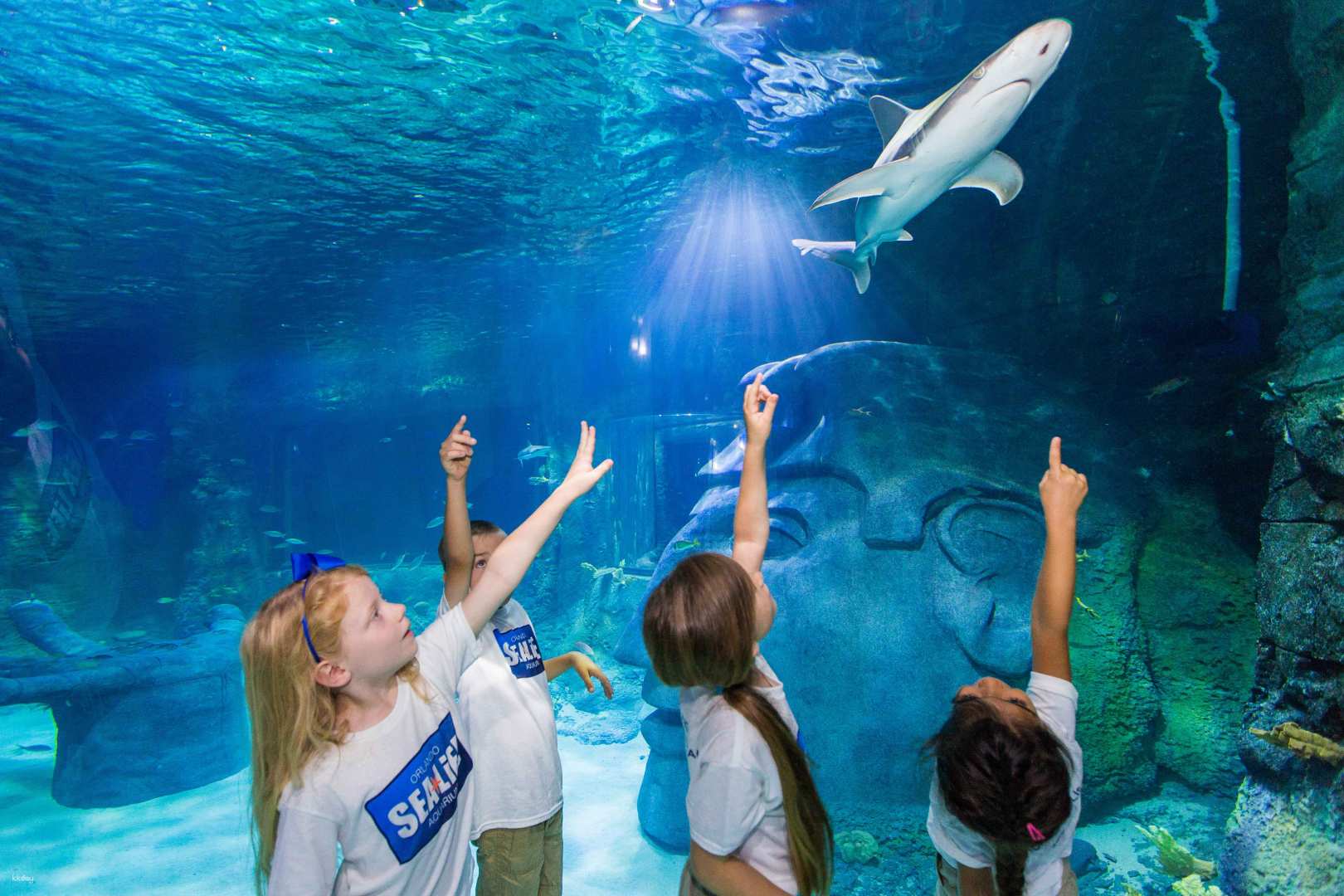 美國-奧蘭多海洋生物水族館SEA LIFE Orlando Aquarium門票
