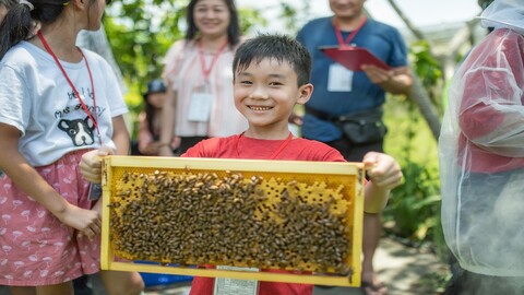 花蓮-宇還地有機農場| 蜜蜂導覽