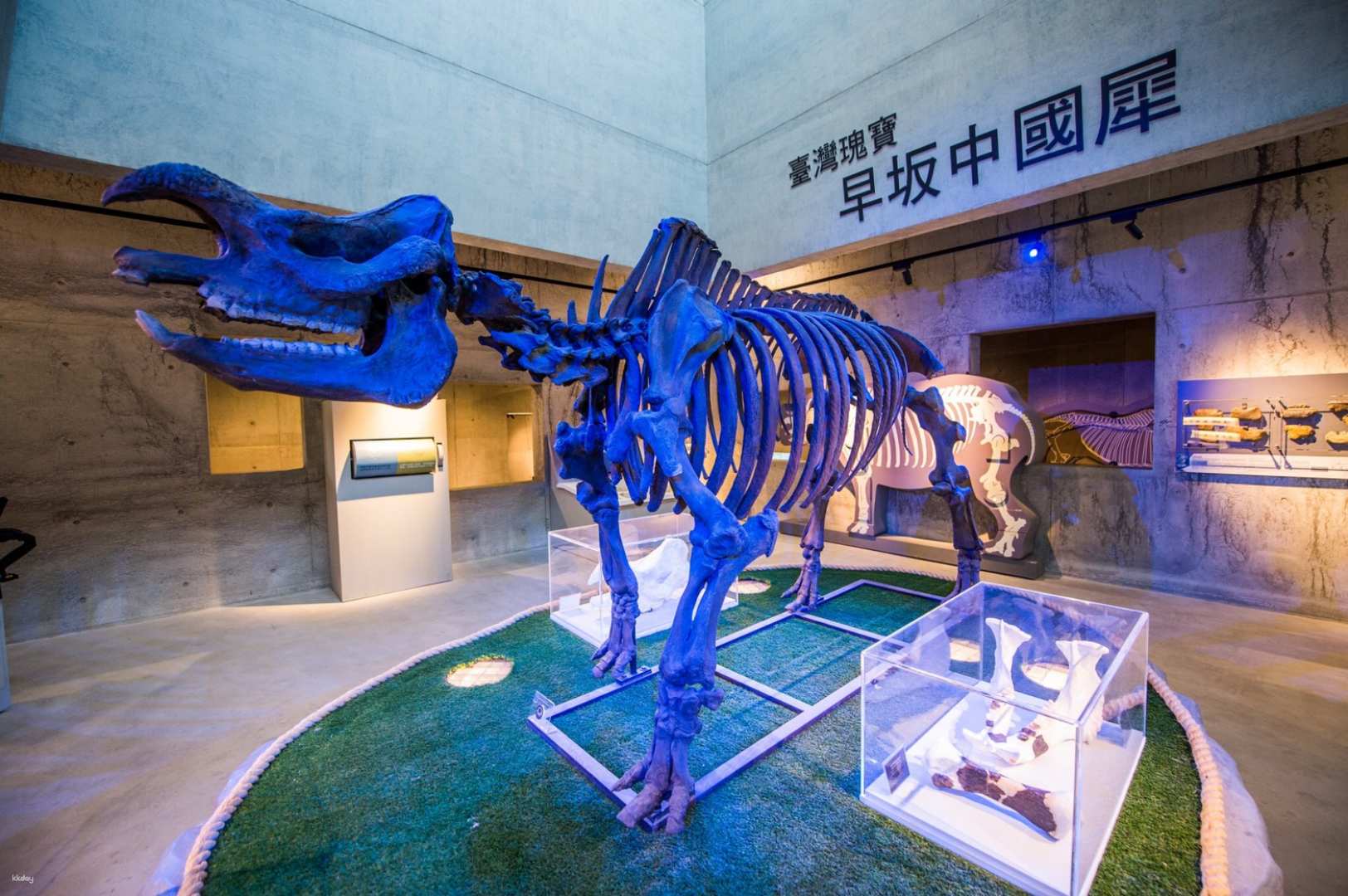 台南-臺南左鎮化石博物館門票| 9折優惠