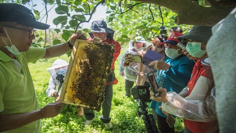 花蓮-宇還地有機農場| 農場生態&蜜蜂導覽