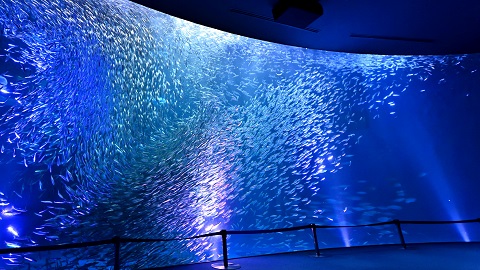 最新名古屋港水族館入場券優惠-PChome旅遊