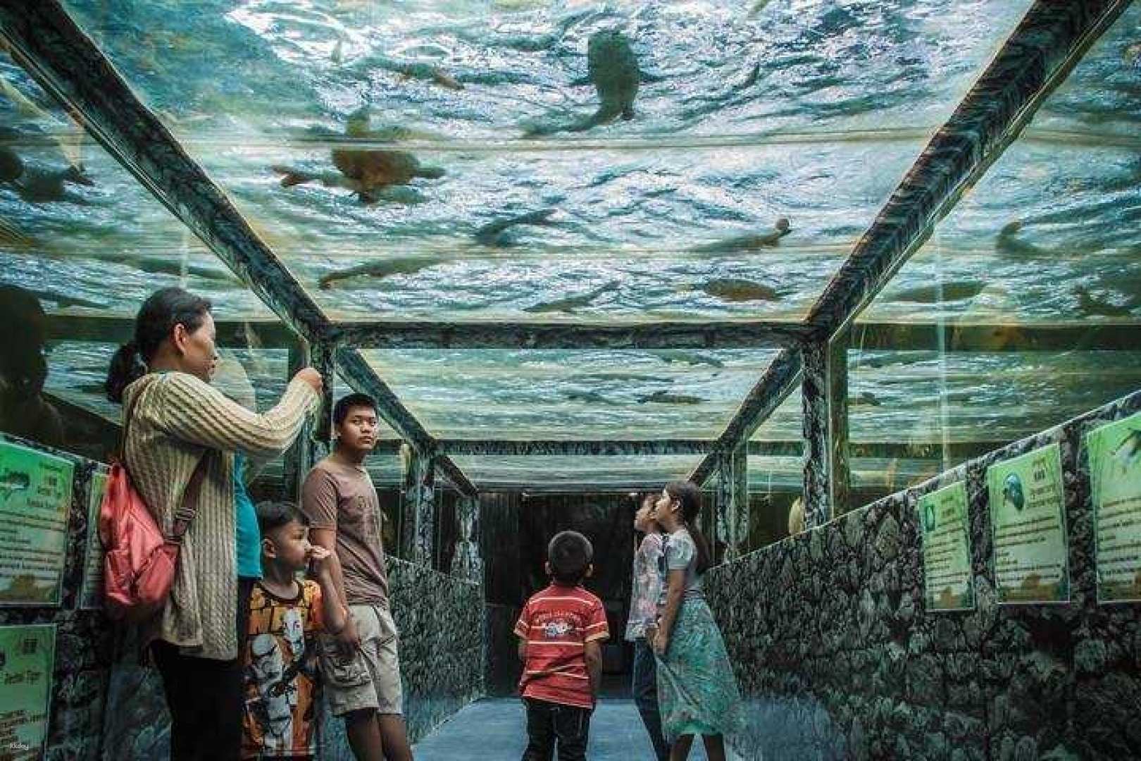 泰國-芭堤雅怪獸水族館門票