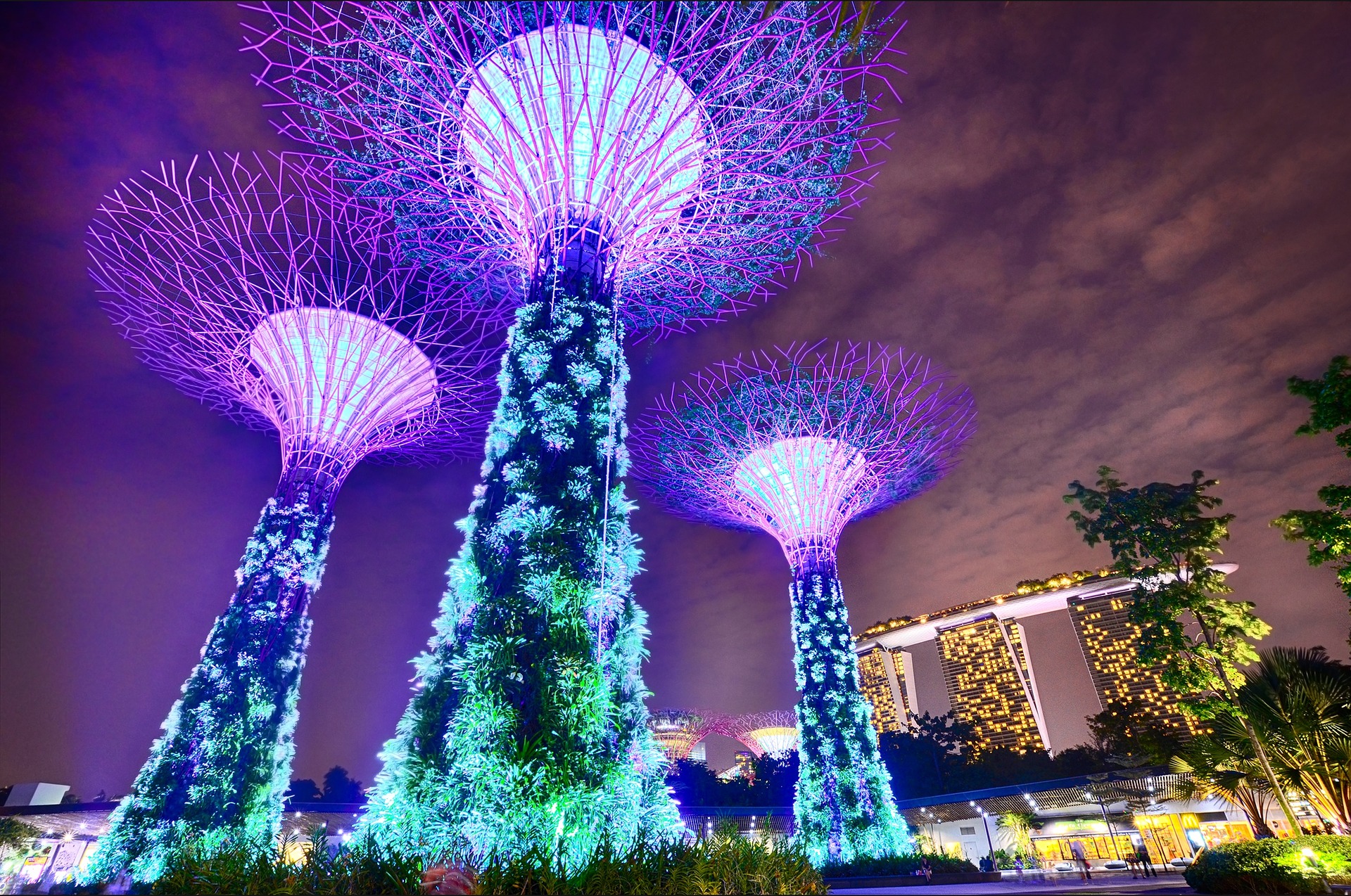 新加坡-濱海灣花園