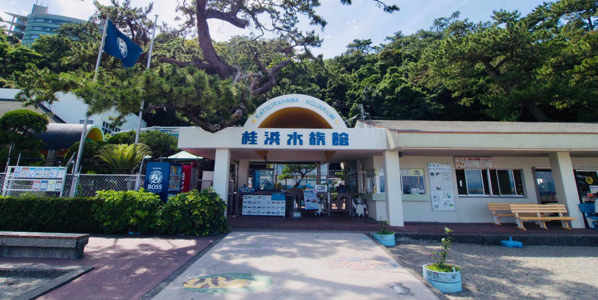 日本-高知桂濱水族館門票 Katsurahama Aquarium