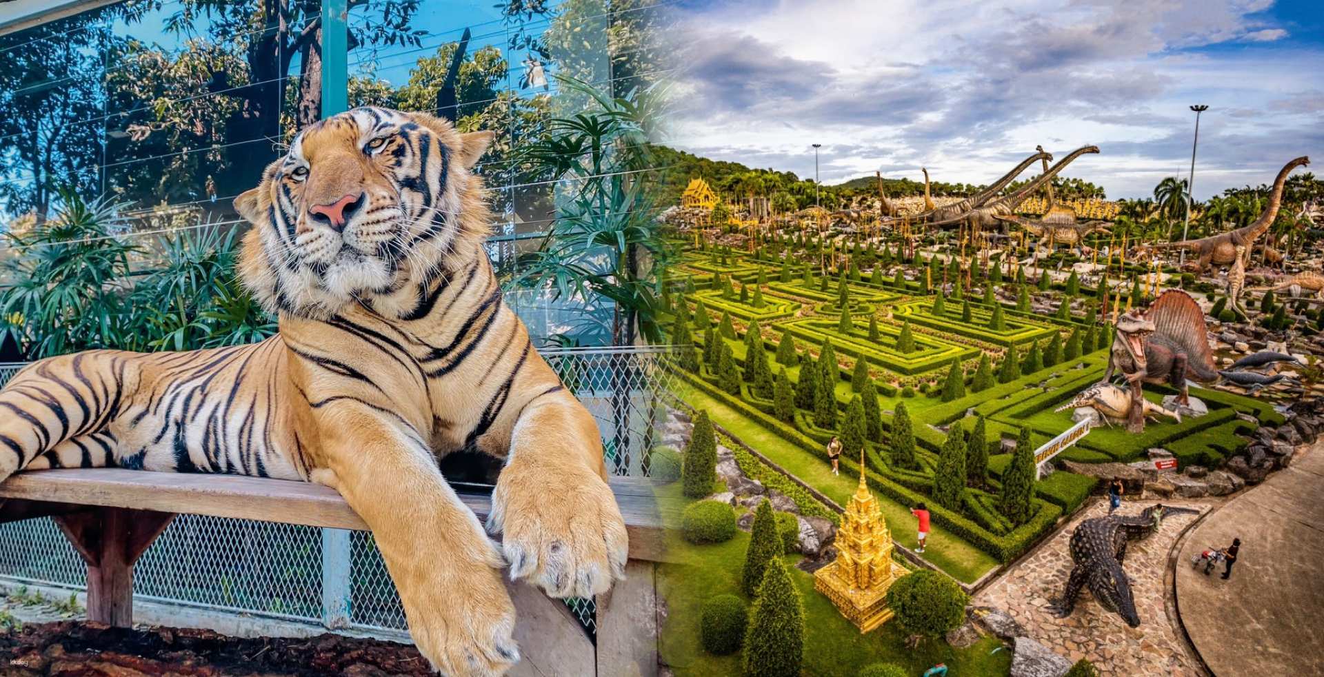 泰國-芭達雅老虎公園&東巴熱帶花園組合套票| 含老虎體驗