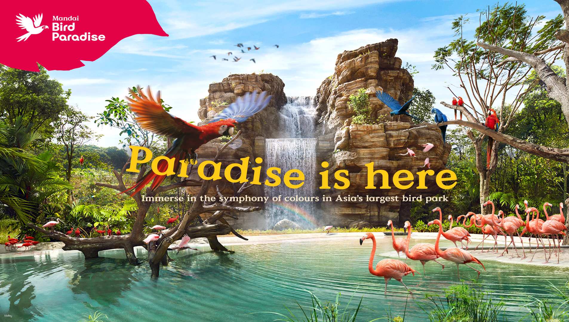 新加坡-飛禽世界 (Bird Paradise)| 亞洲最大的鳥類樂園