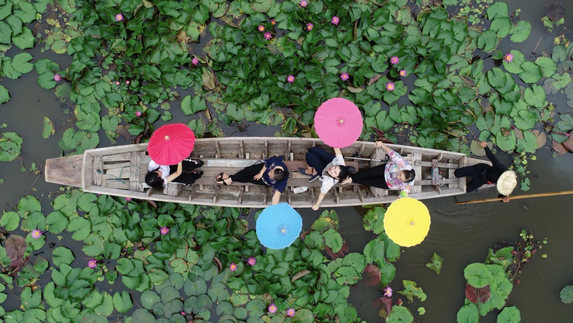 泰國-曼谷Red Lotus Floating Market 空拍迷你紅蓮花海特色體驗&吞武里市場文化體驗 | CNN推薦曼谷行程