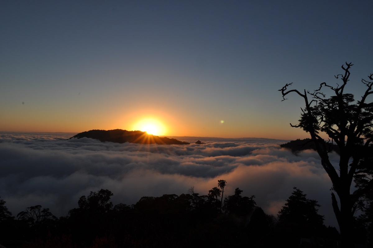 大雪山國家森林遊樂區門票半票(平假日均可使用)