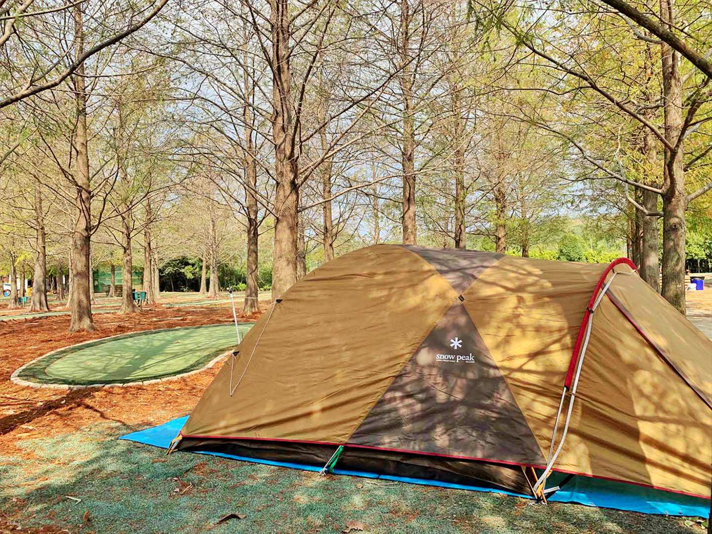 苗栗-藍鵲渡假莊園露營體驗| 免搭帳露營