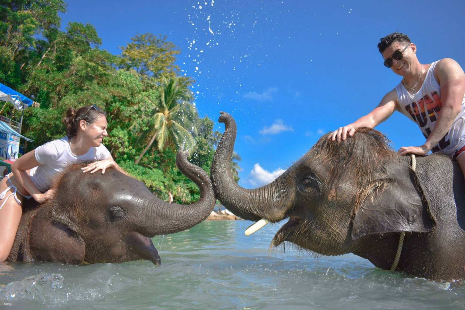 泰國-普吉島幸運海灘大象游泳特惠