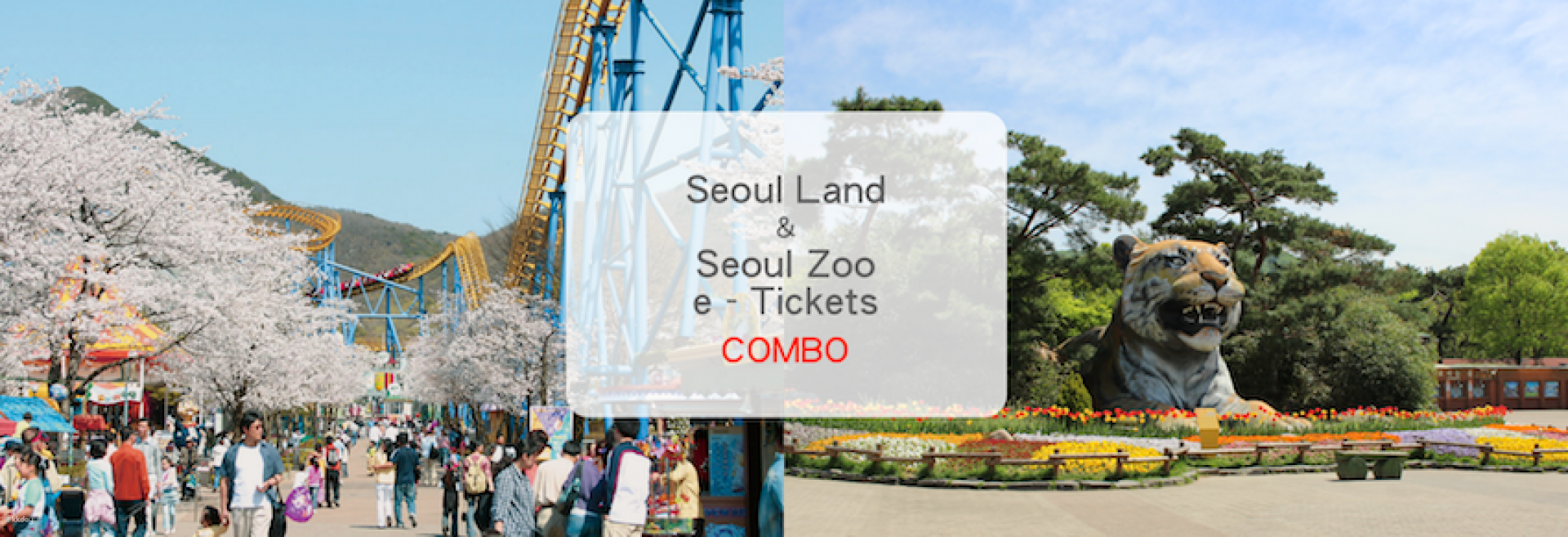 韓國-首爾樂園&首爾動物園&天空纜車套票