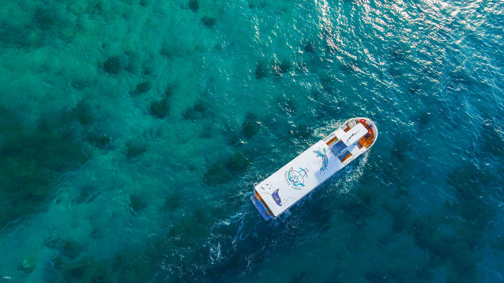 屏東-小琉球水上活動推薦| 玻璃船半潛艇&免下水觀賞海洋生態