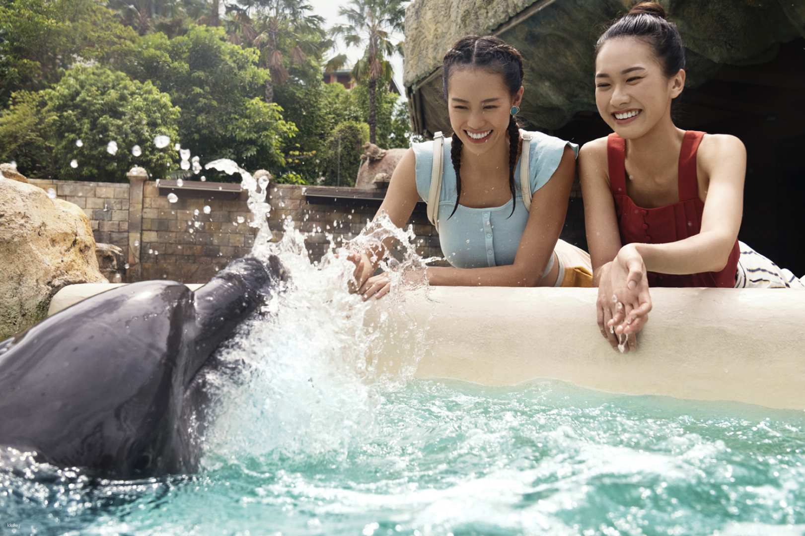 新加坡-聖淘沙名勝世界 海豚島| 與印度太平洋寬吻海豚近距離接觸