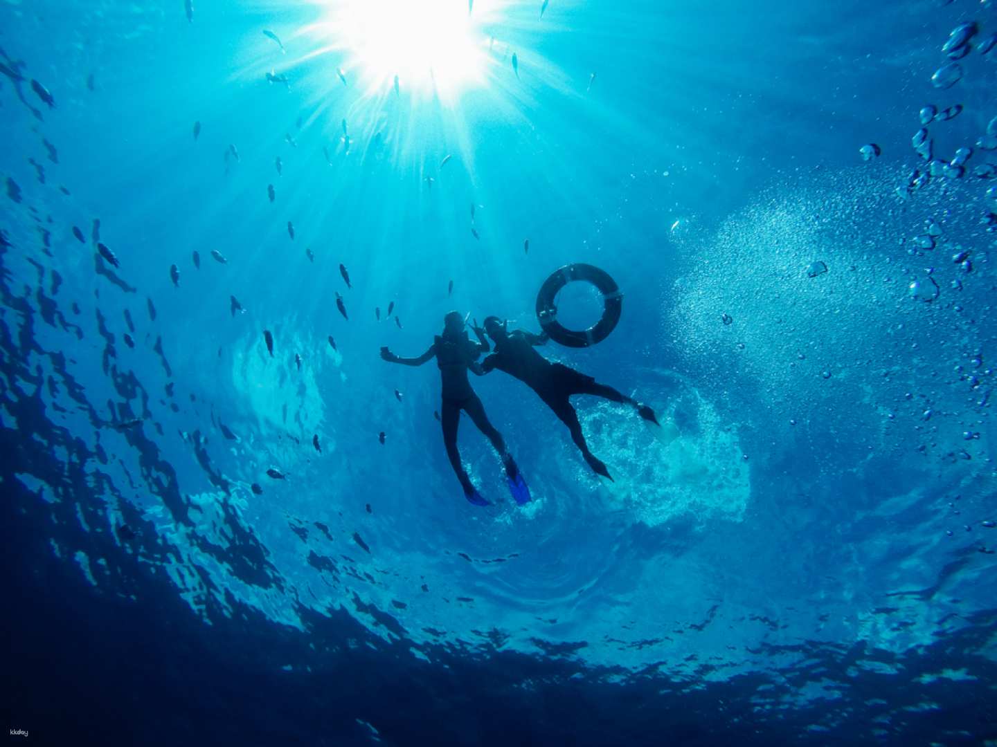 台東-綠島海上浮潛體驗與秘境跳港體驗