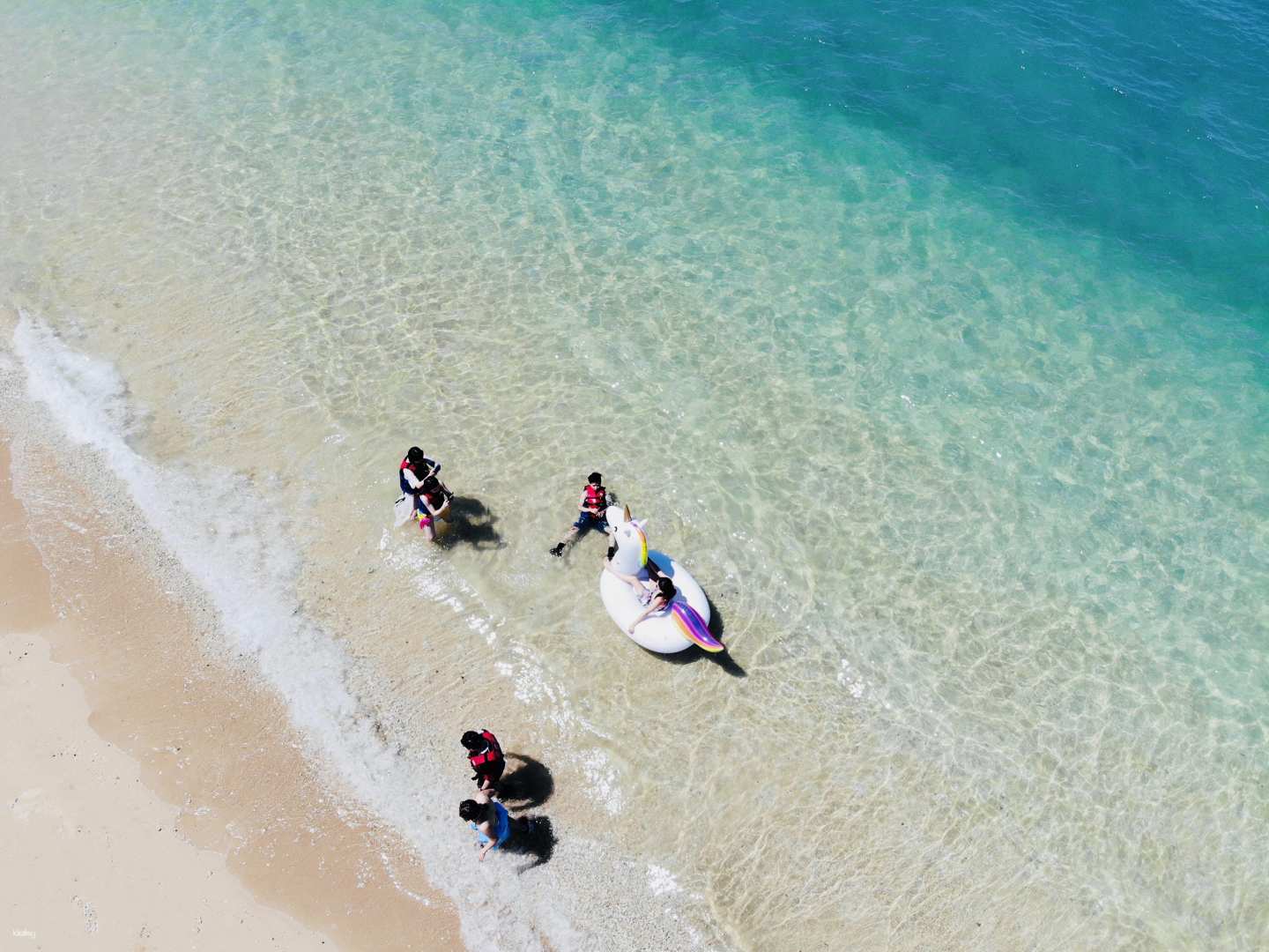 遠離人群 澎湖大倉島一日跳島 無人島浮潛 五合一水上活動 海釣體驗 啾啾愛亂拍