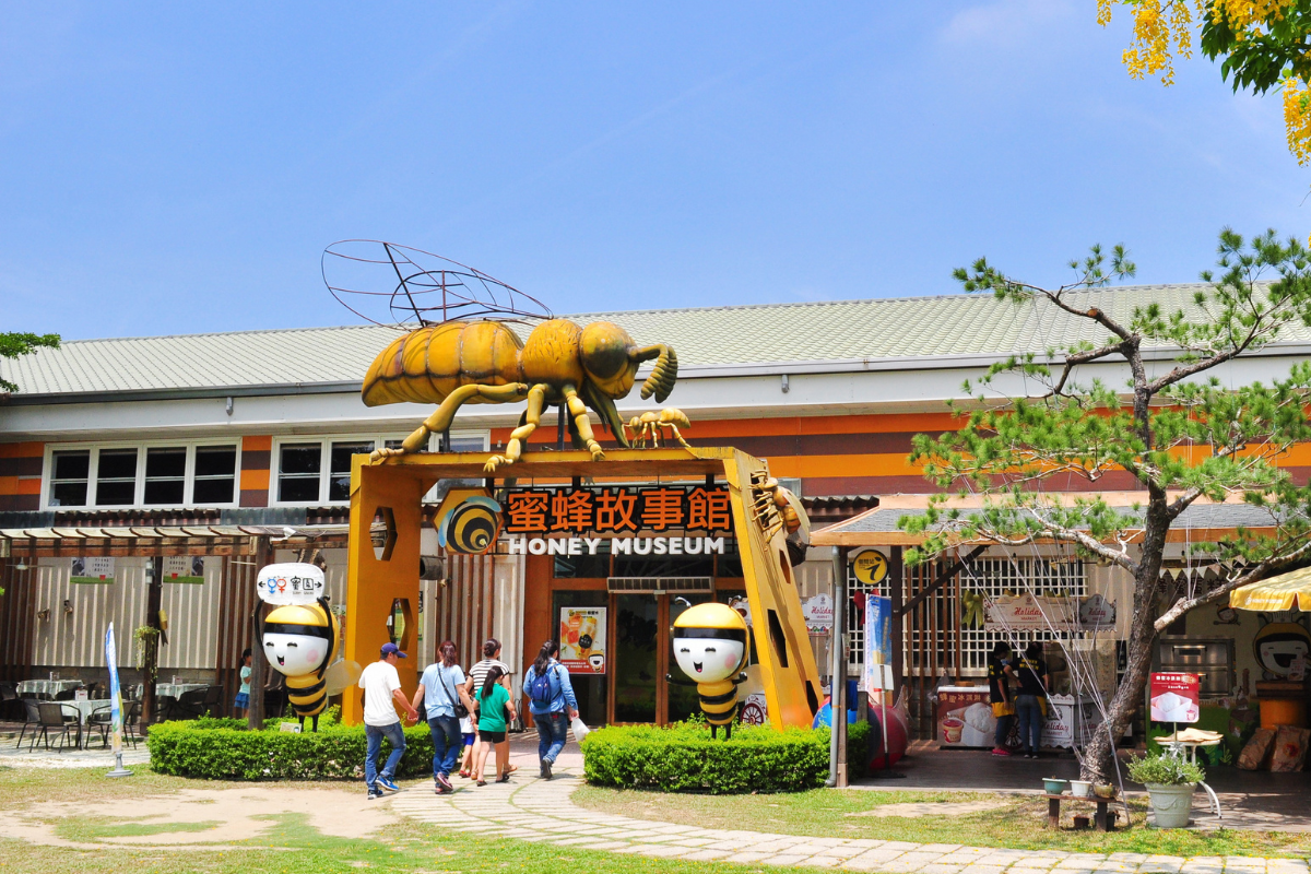 雲林-蜜蜂故事館| 打開蜂箱| 蜜蜂生態體驗