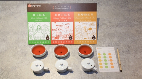 南投-和菓森林紅茶莊園 氣味實驗室| 品茶體驗