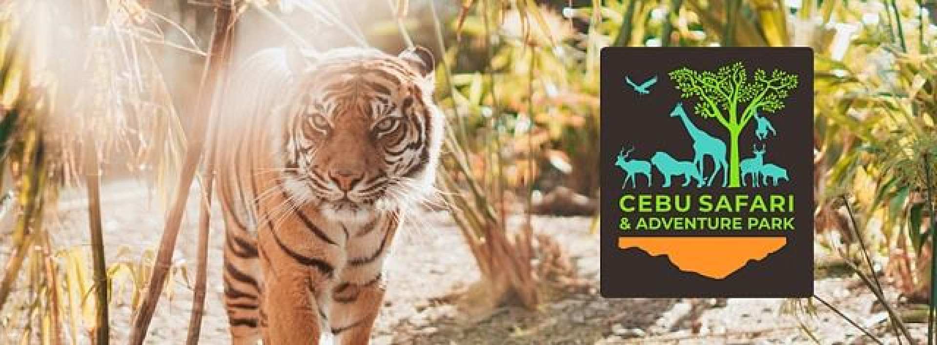 菲律賓-宿霧非洲大草原和白獅野生動物園之旅| 宿霧野生動物園&冒險公園之旅(含門票)