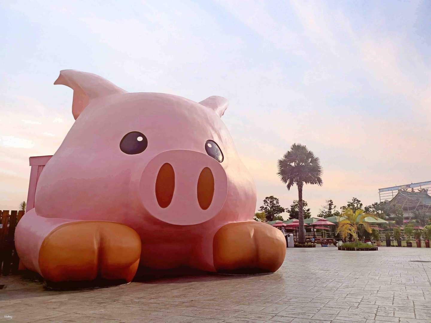 嘉義-三隻小豬觀光農場| 門票