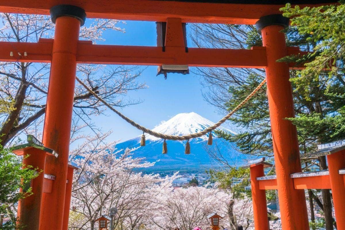 東京富士山一日遊| 淺間金鳥居大門&忍野八海&日川時計店&河口湖大石公園&河口湖| 多語言導覽| 1人成團