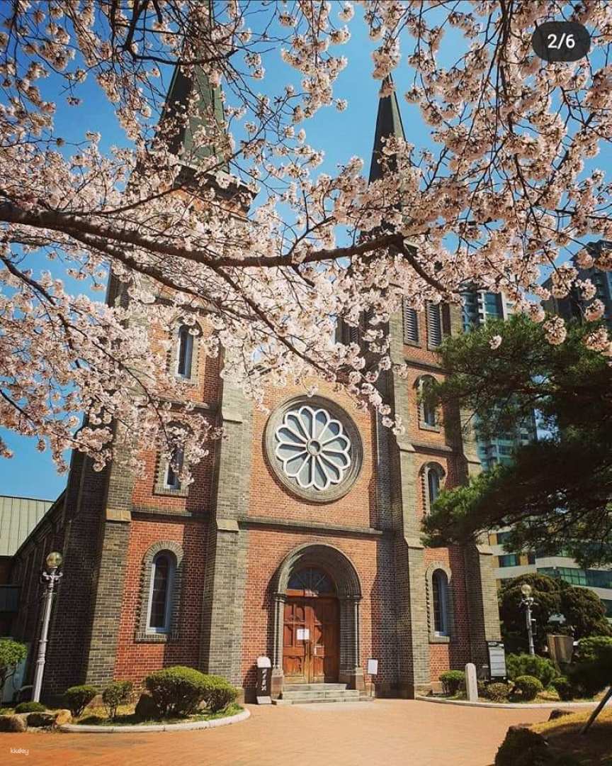 韓國-大邱桂山聖堂,青蘿之丘,韓式美妝| 體驗半日遊