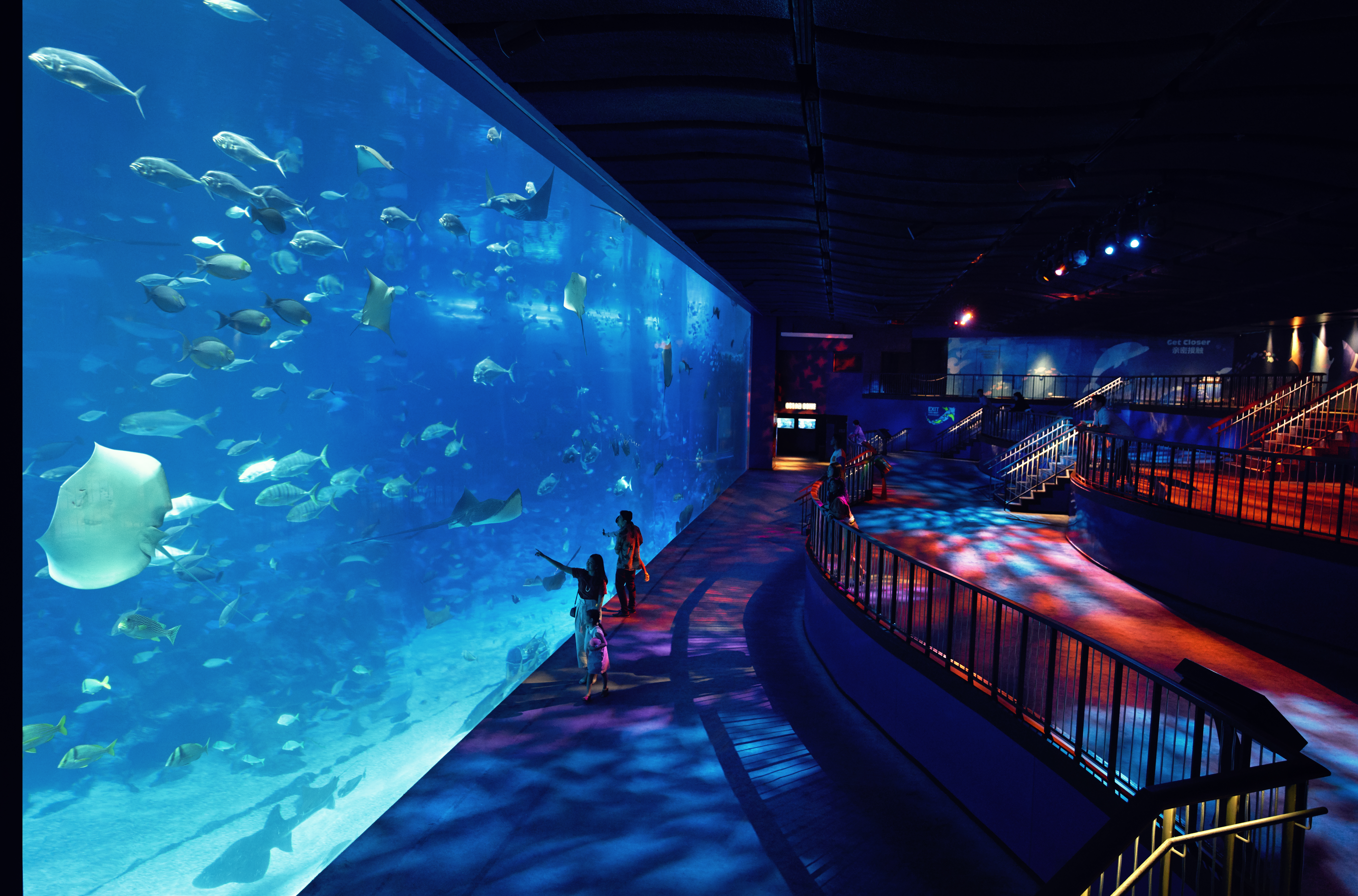 新加坡-S.E.A. Aquarium海洋館