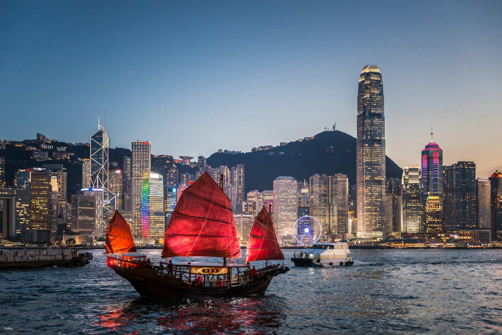 香港-鴨靈號 Dukling| 鴨靈文化體驗遊