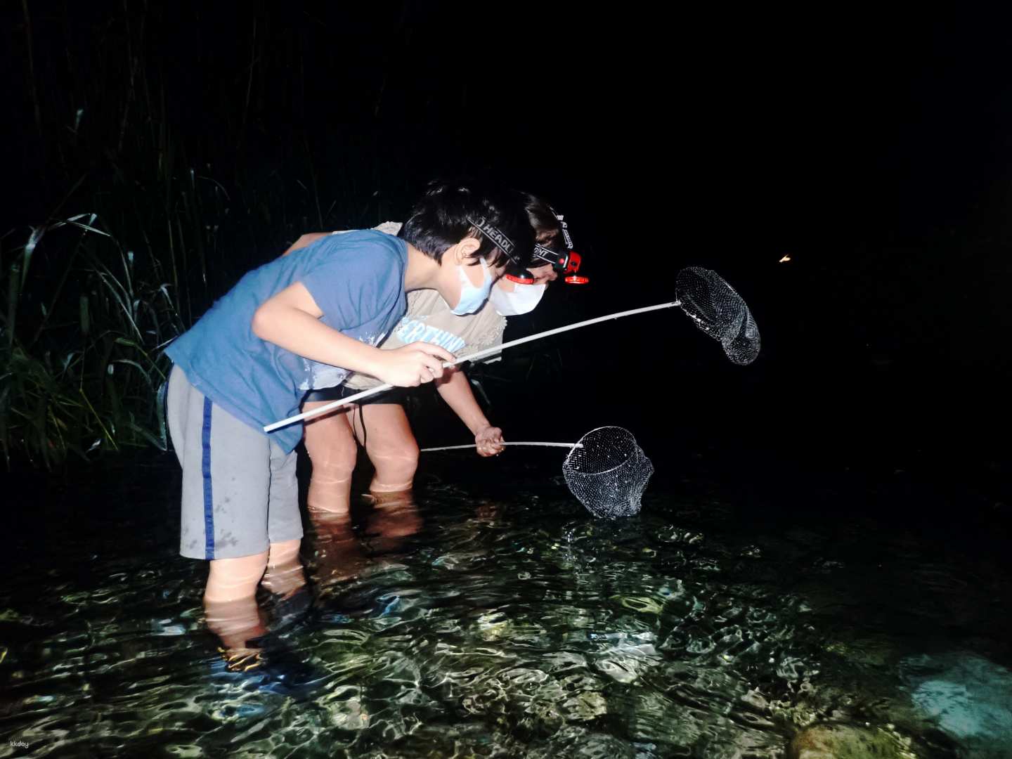 花蓮-夜間抓溪蝦體驗